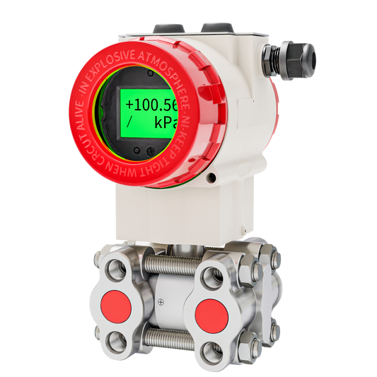 Differenz-Drucksensor PD556