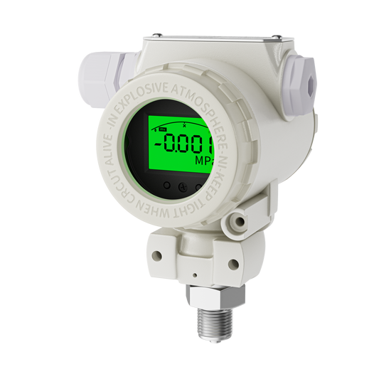 Drucksensor PM356